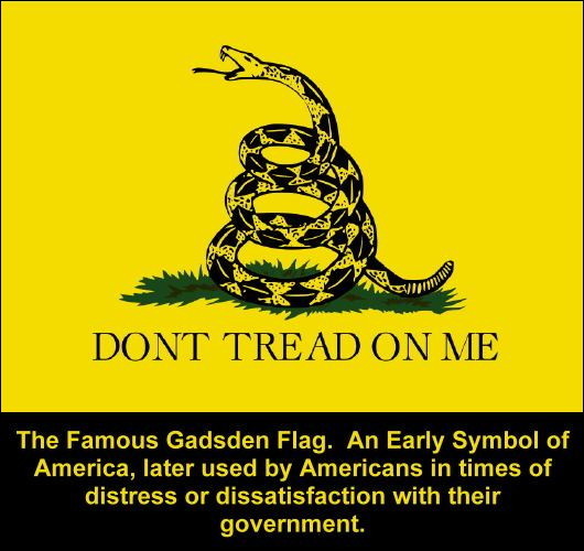 Don't tread on me-Gadsden Flag